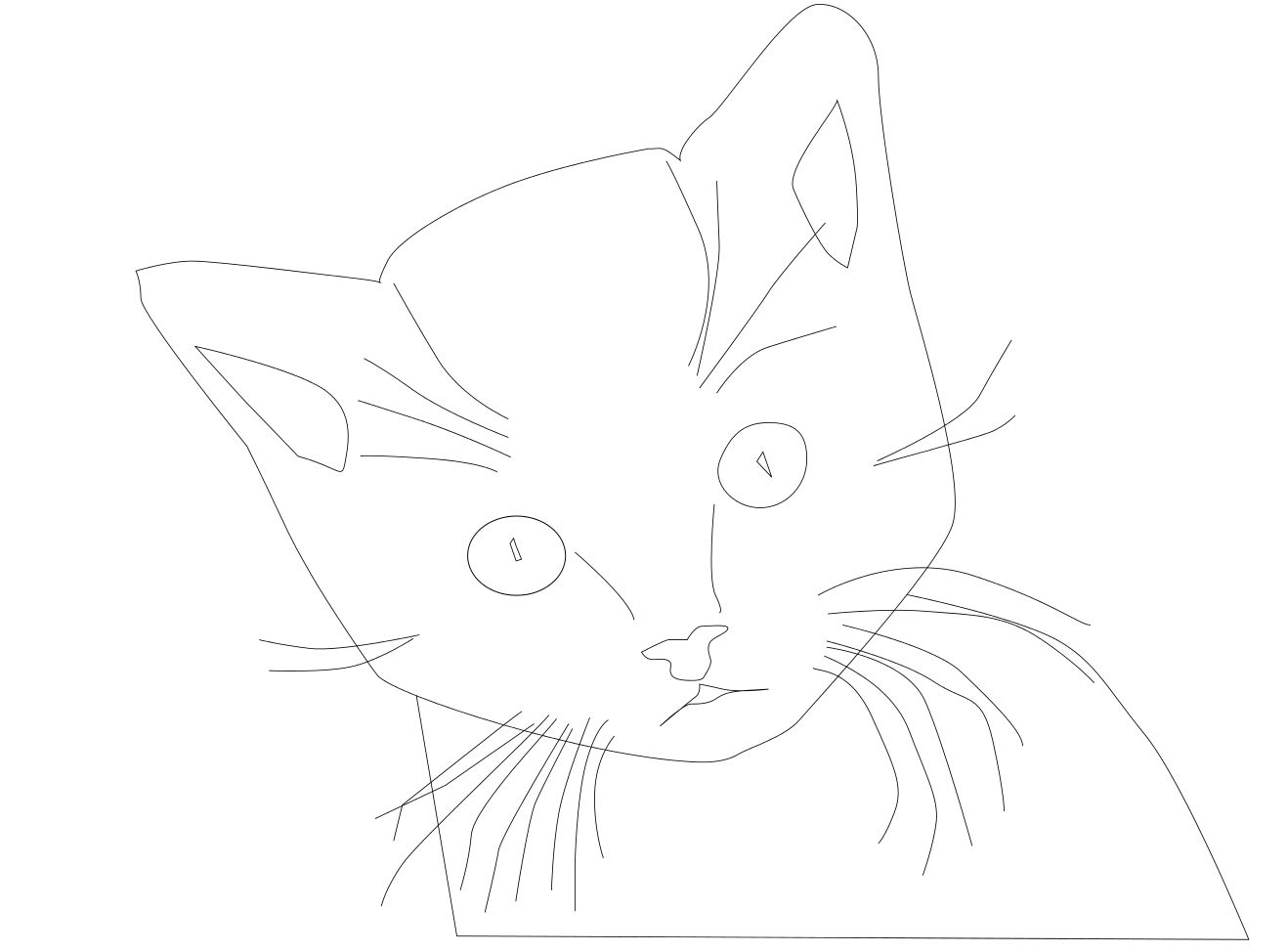 Coloriage visage chat