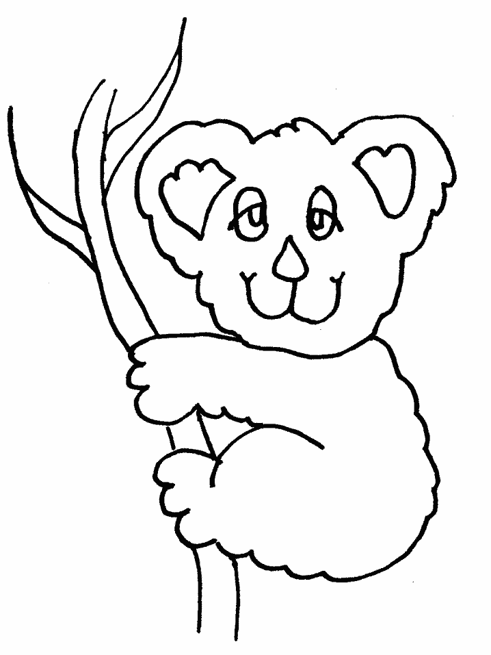 Coloriage Koala